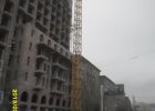 Башенный кран QTZ 125
